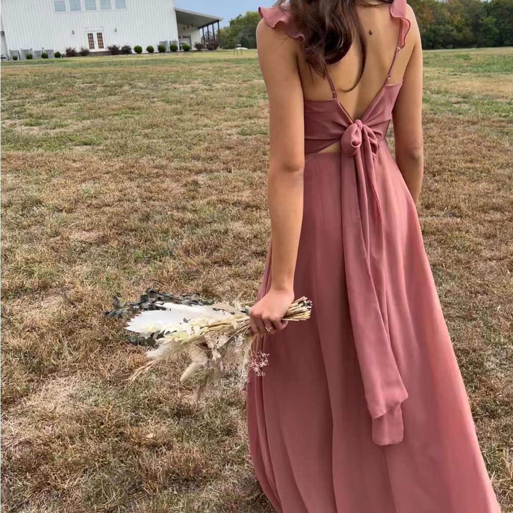 Birdy Grey Doris Chiffon Dress XS / Desert Rose